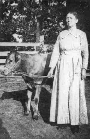 (403 KB)
 
(Click on Picture to View Full Size)