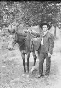 (169 KB)
 
(Click on Picture to View Full Size)