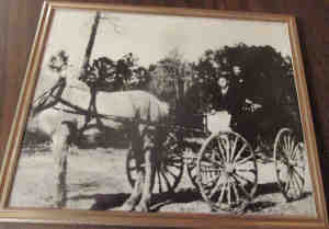 (183 KB)
1917-1918 
Jessie Horton (Giffin)
Ira Woodward Horton
Buggy being pulled by Old Cora
Before the end of WWI
by James L. Horton
(Click on Picture to View Full Size)